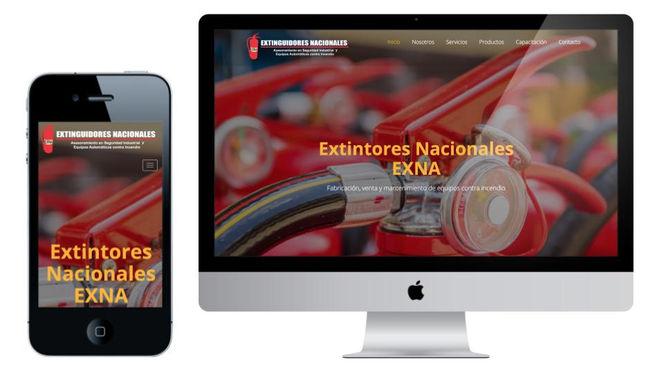 diseño de paginas web economicas monterrey