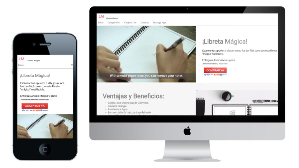 paginas de internet profesionales en monterrey